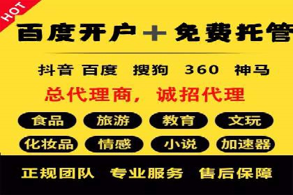 百度竞价账户托管的技巧与策略：从入门到精通的案例解析